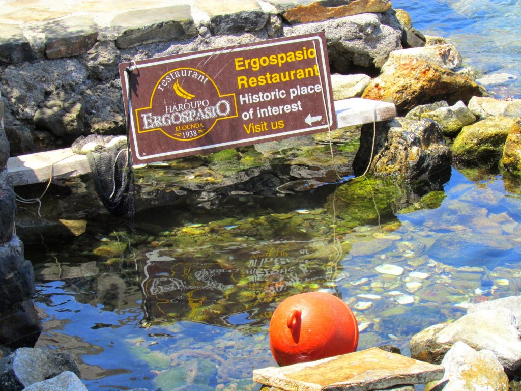 Yummy Tastes : Χαρουποεργοσπασιο