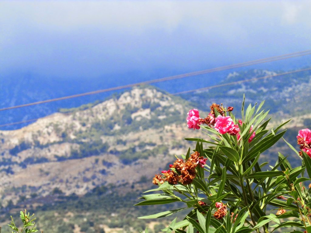 Πρωτοβρόχια στις Μάλλες Κρήτης