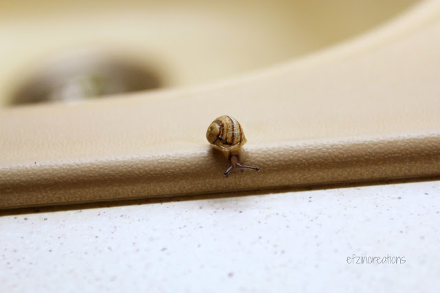 Ένα μεγάλο ταξίδι…