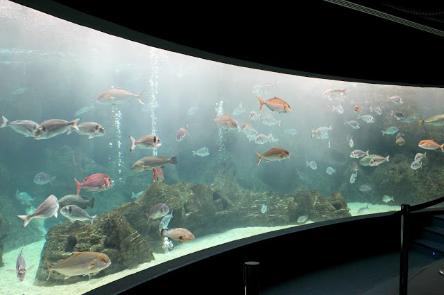 CreatAquarium … ένας υποθαλάσσιος Κόσμος