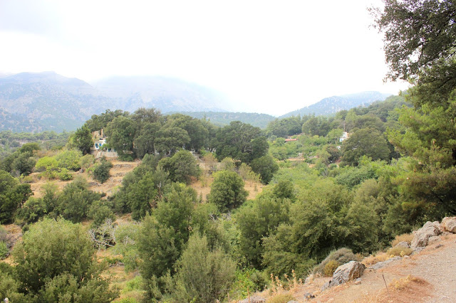 Καφεδάκι στο Σελάκανο Κρήτης